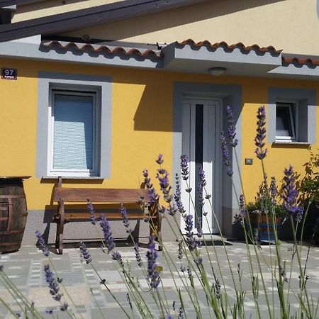Apartma Brnistra Ginestra Koper Zewnętrze zdjęcie